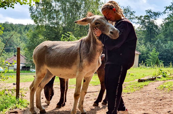 Eselwanderung Eppenbrunn (2 Std.)