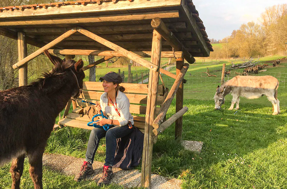 Eselwanderung für 2 Fichtenau - 5