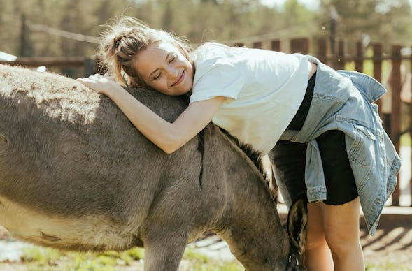Eselwanderung Hirschburg