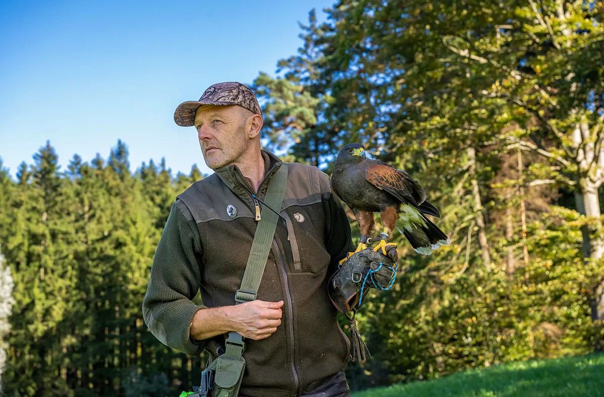 Falkner Erlebnis Streitheim - 5