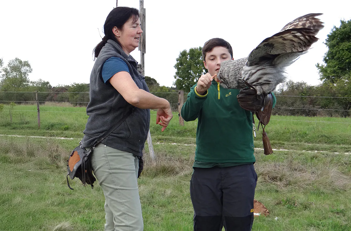 Falkner für einen Tag Riedenburg (Weißkopfseeadler) - 6
