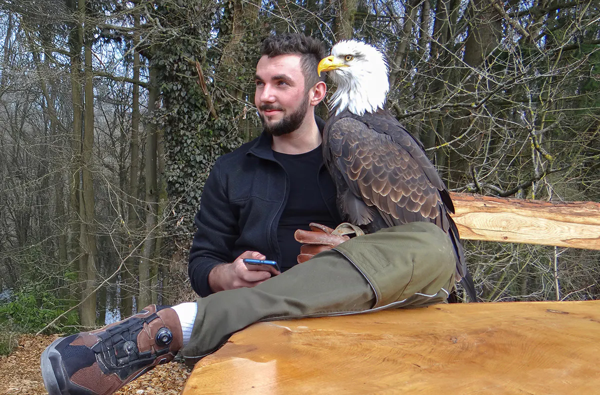 Falkner für einen Tag Riedenburg (Weißkopfseeadler) - 8
