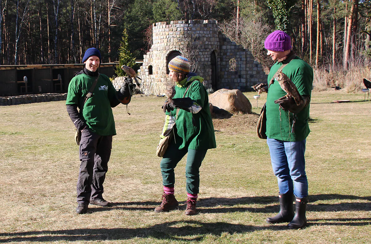 Falkner für einen Tag in Potsdam - 5