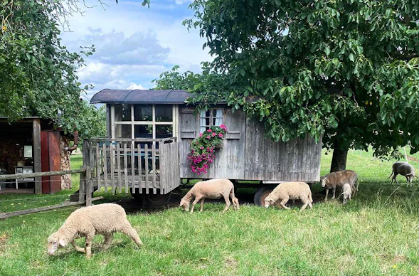 Familienurlaub im Bienenwagen (2 Nächte)