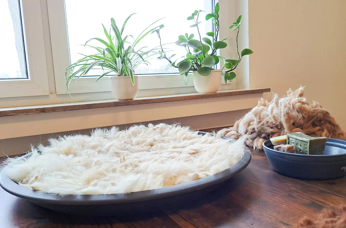 Filzen mit Alpakawolle Petershagen - 5