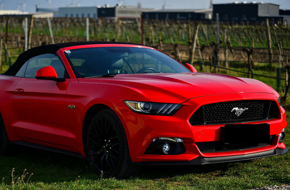 Ford Mustang GT fahren bei Wien (8 Std.) - 5