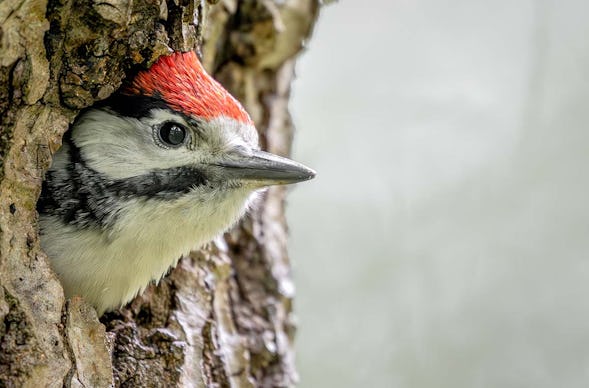 Fotografie Kurs Landsberg am Lech