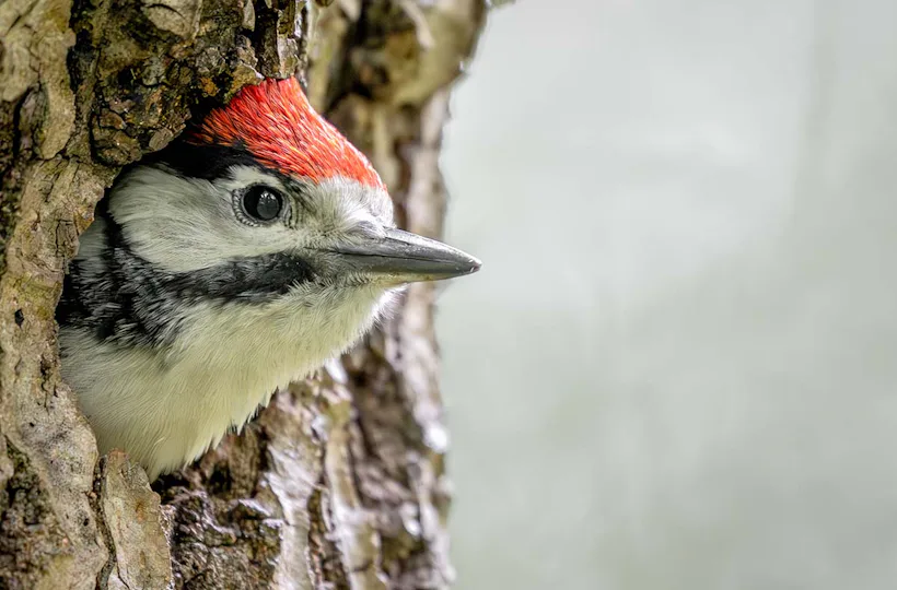 Fotografie Kurs Landsberg am Lech