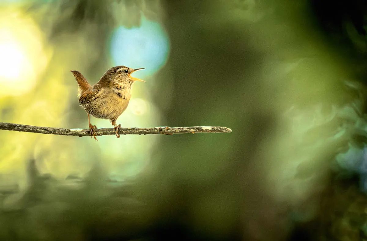 Fotografie Kurs Landsberg am Lech - 5