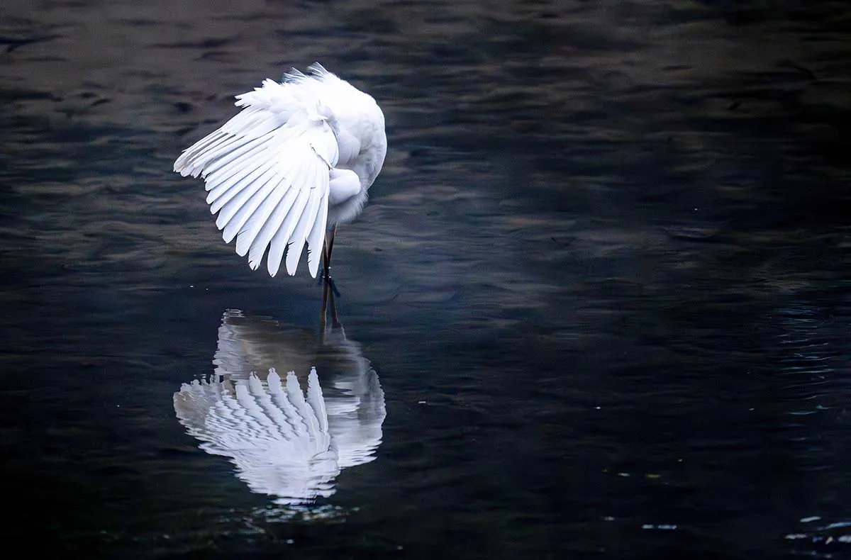 Fotografie Kurs Landsberg am Lech - 6