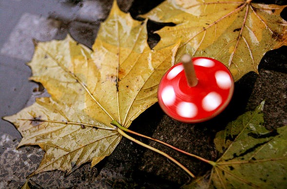 Fotokurs Prag (Einzelcoaching)