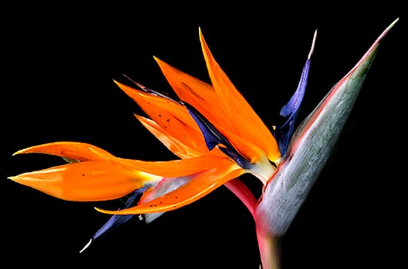 Fotokurs Düsseldorf (Einzelcoaching)