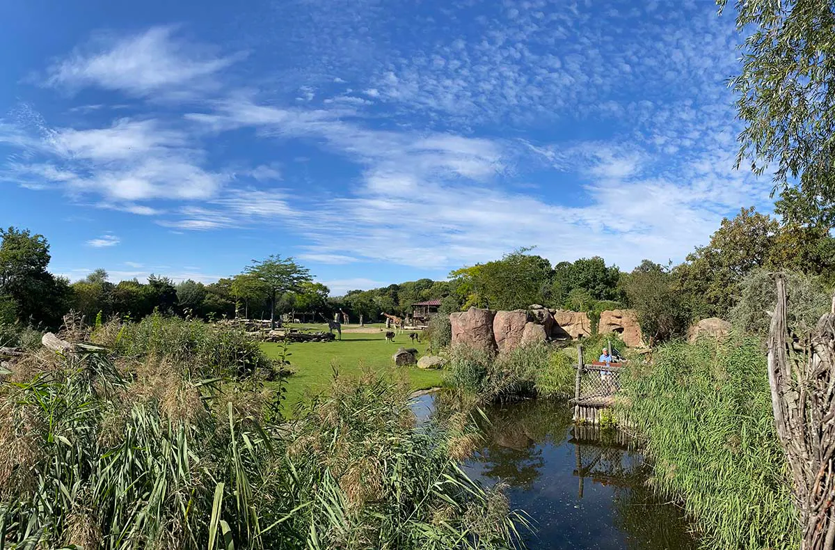 Frühstück & Zoobesuch Leipzig für 2 - 13