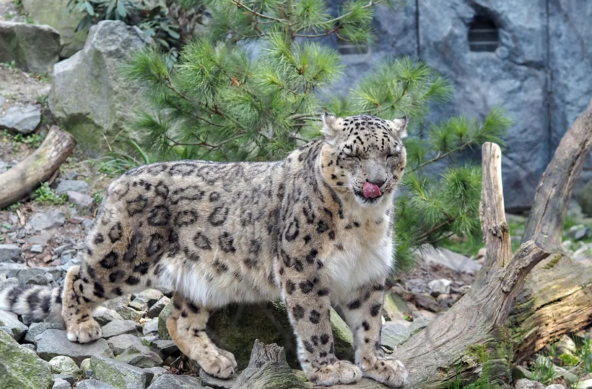 Frühstück & Zoobesuch Leipzig für 2 - 5