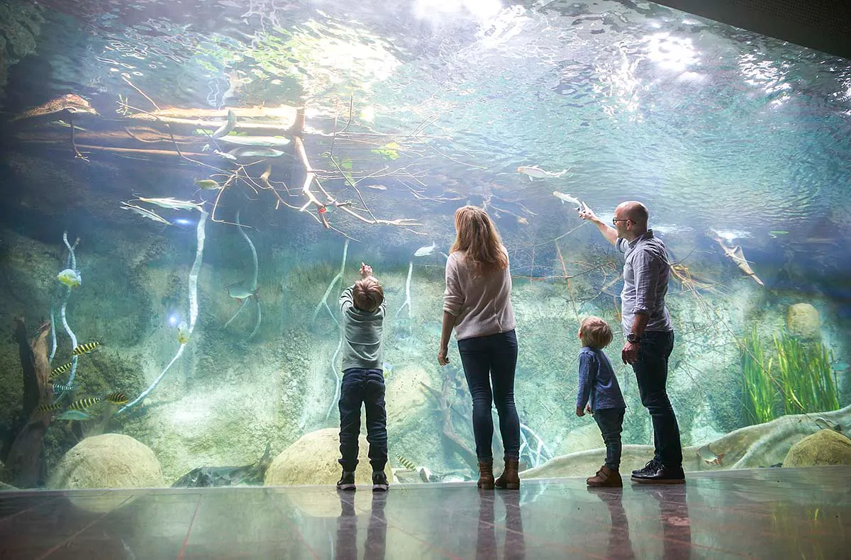 Frühstück & Zoobesuch Leipzig für 2 - 11