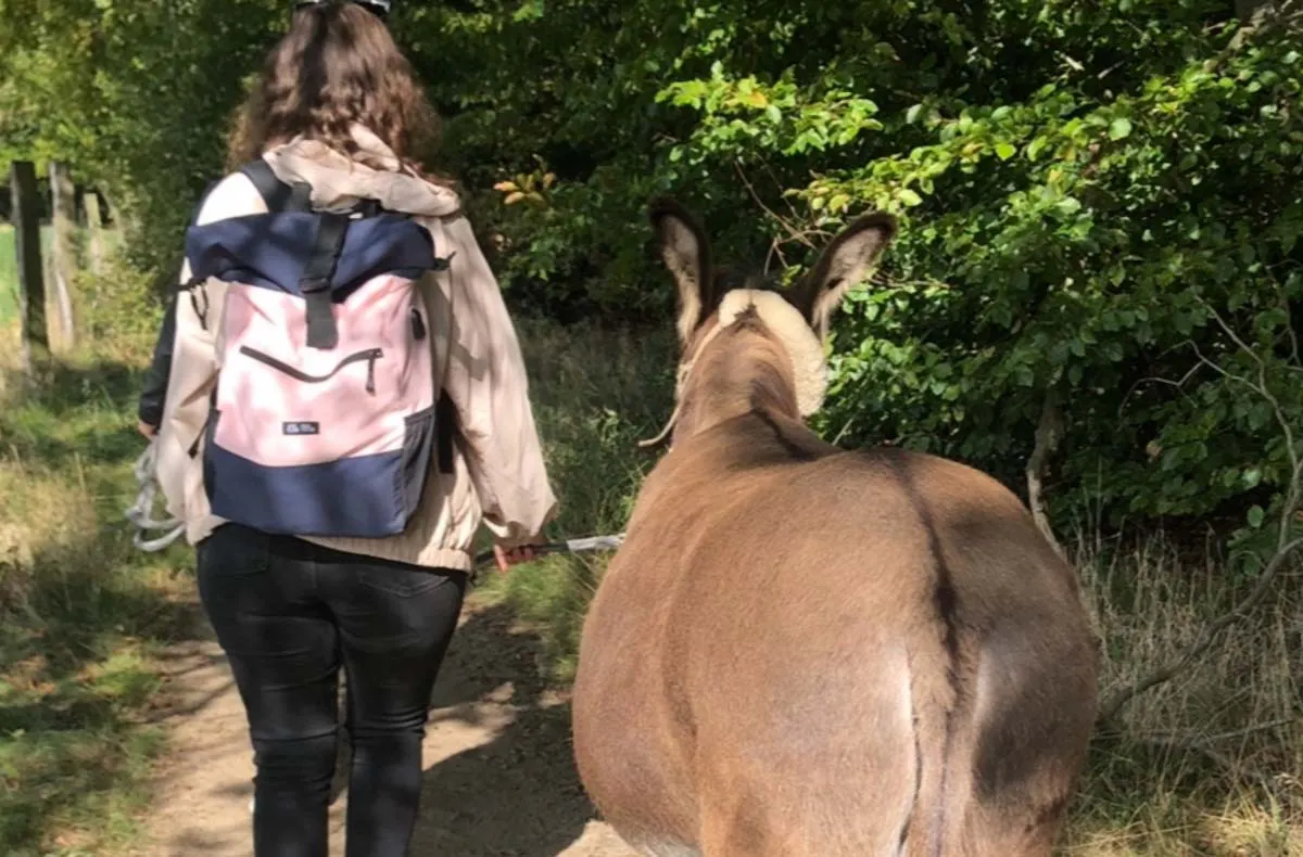 Ganzheitliches Stressmanagement mit Esel Birstein - 5