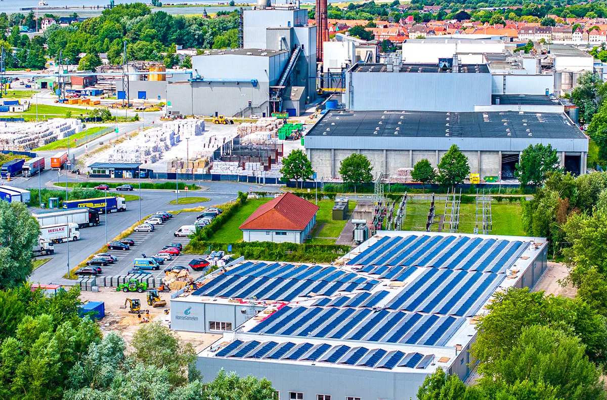 Garnelen Verkostung Glückstadt - 6