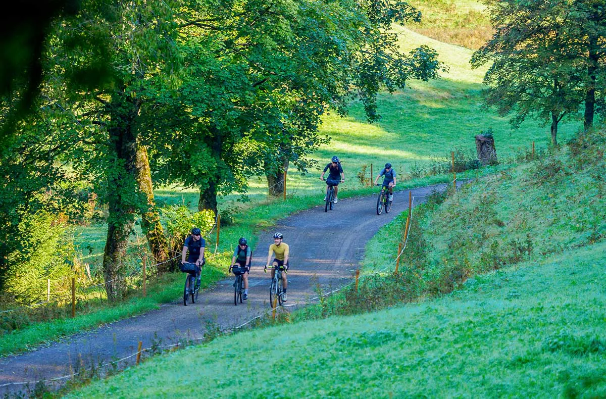 Geführte Bikepacking-Tour Pfälzerwald für 1 (2 Nächte) - 4
