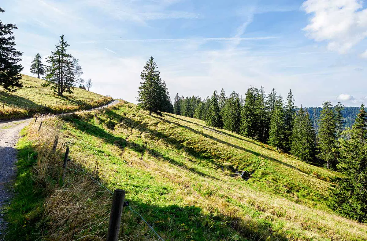 Geführte Bikepacking-Tour Pfälzerwald für 1 (2 Nächte) - 6