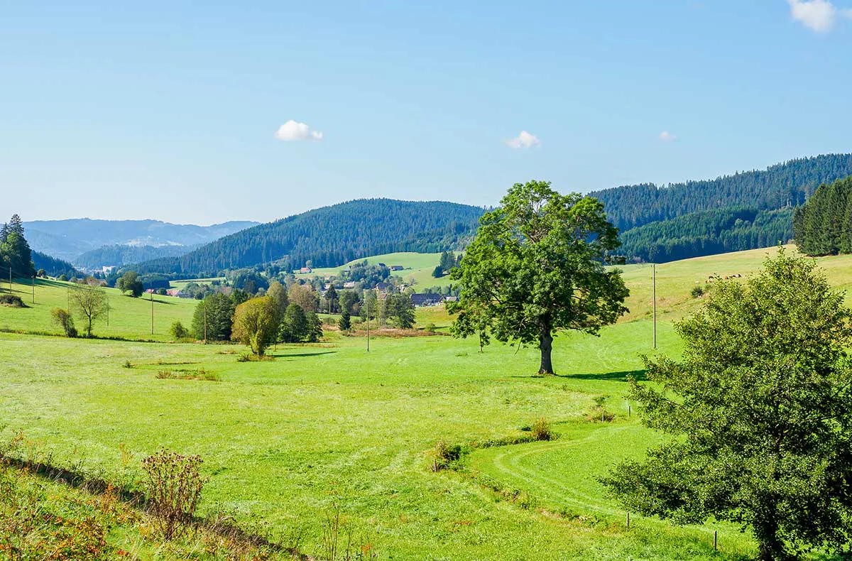 Geführte Bikepacking-Tour Schwarzwald für 1 (2 Nächte) - 5