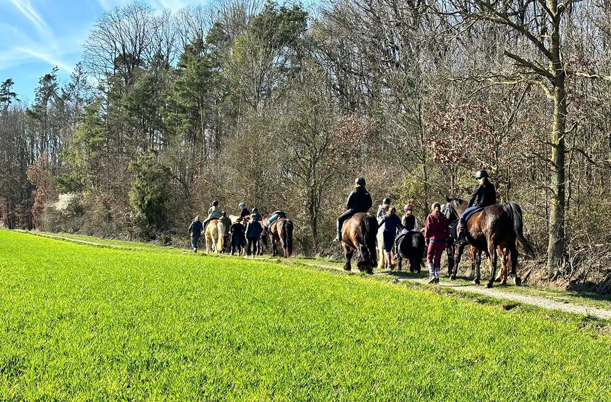 Geführter Ausritt Langenfeld - 5