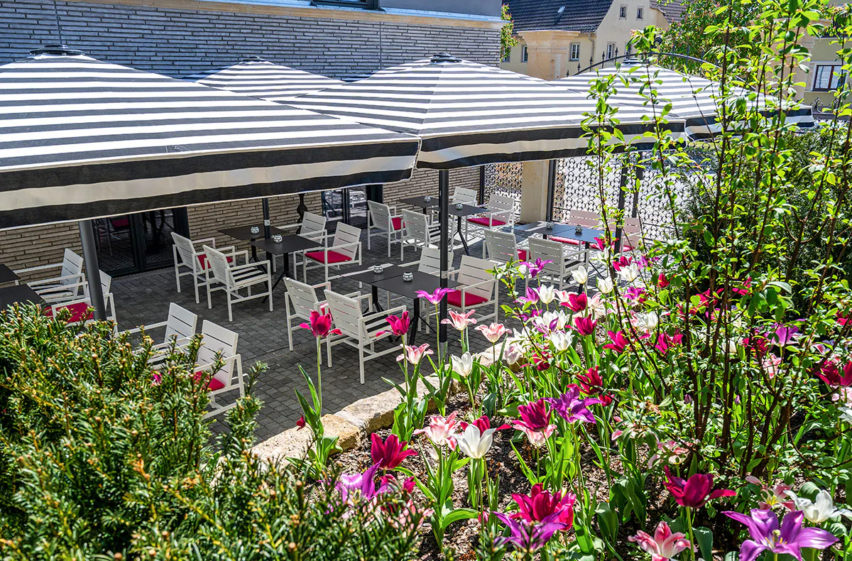 Genussabend Pirna - 14