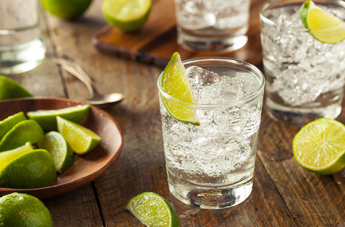Gin Seminar Berlin (für Einsteiger) - 1
