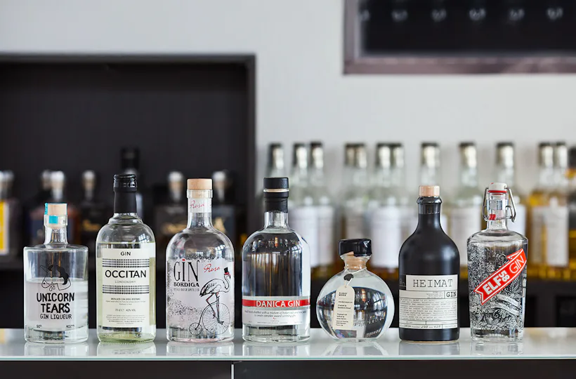 Gin Seminar Köln (für Einsteiger)