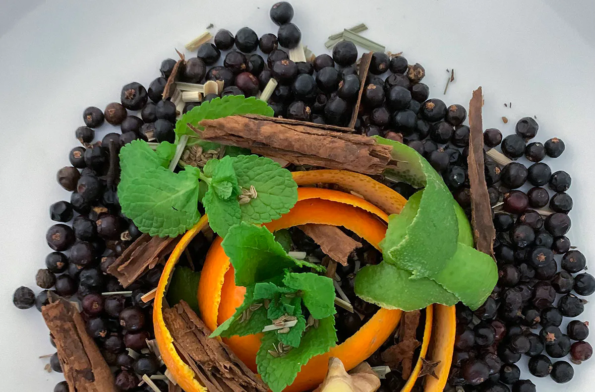 Gin Seminar Neu Wulmstorf - 5