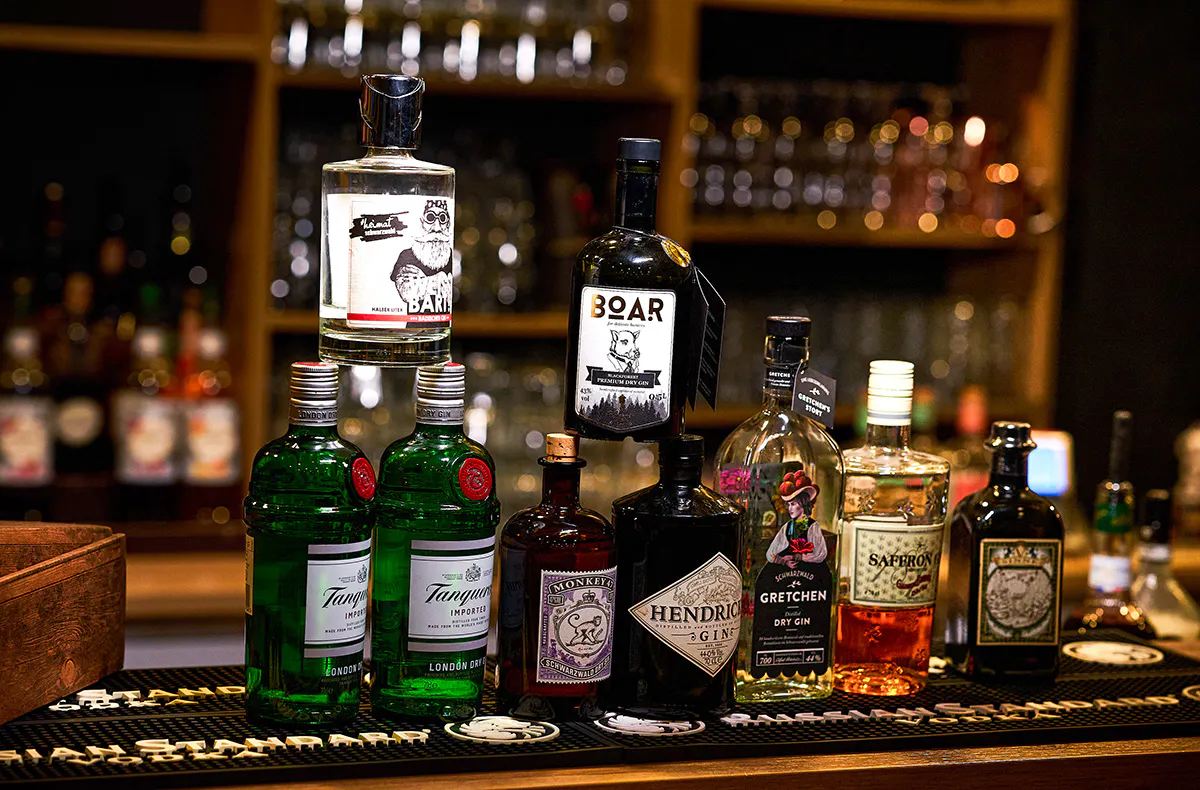 Gin Tasting Freiburg im Breisgau - 6