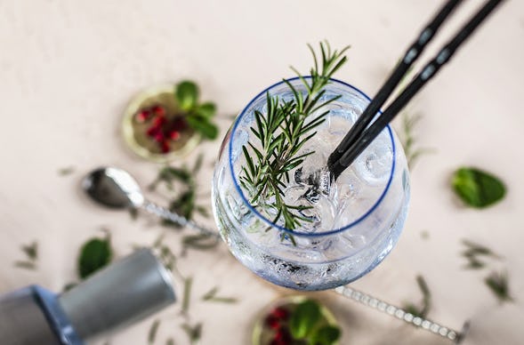 Gin Tasting Karlsruhe