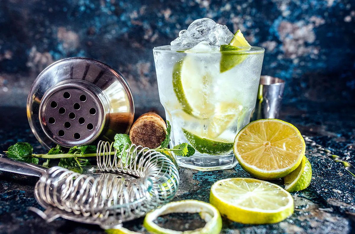 Gin Tasting München für 2 - 5