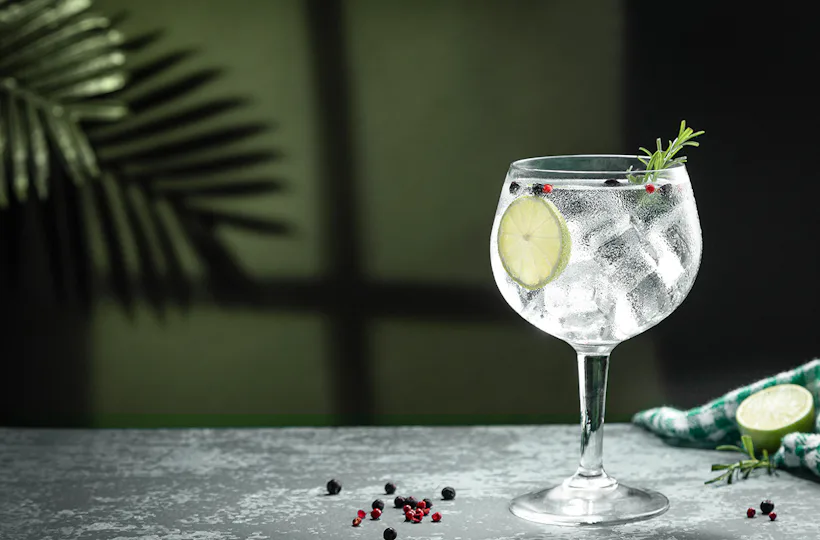 Gin Tasting Hamburg (7 Premium Gins)
