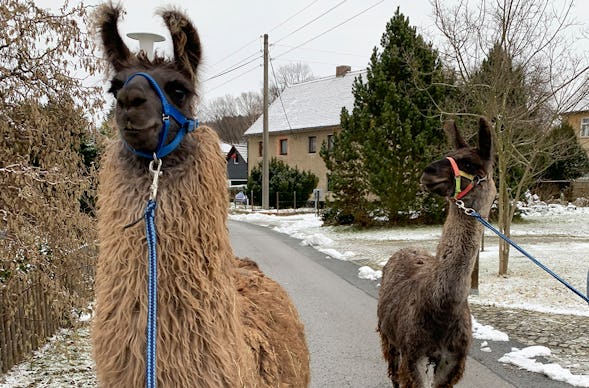 Glühweinwanderung Schönau-Berzdorf
