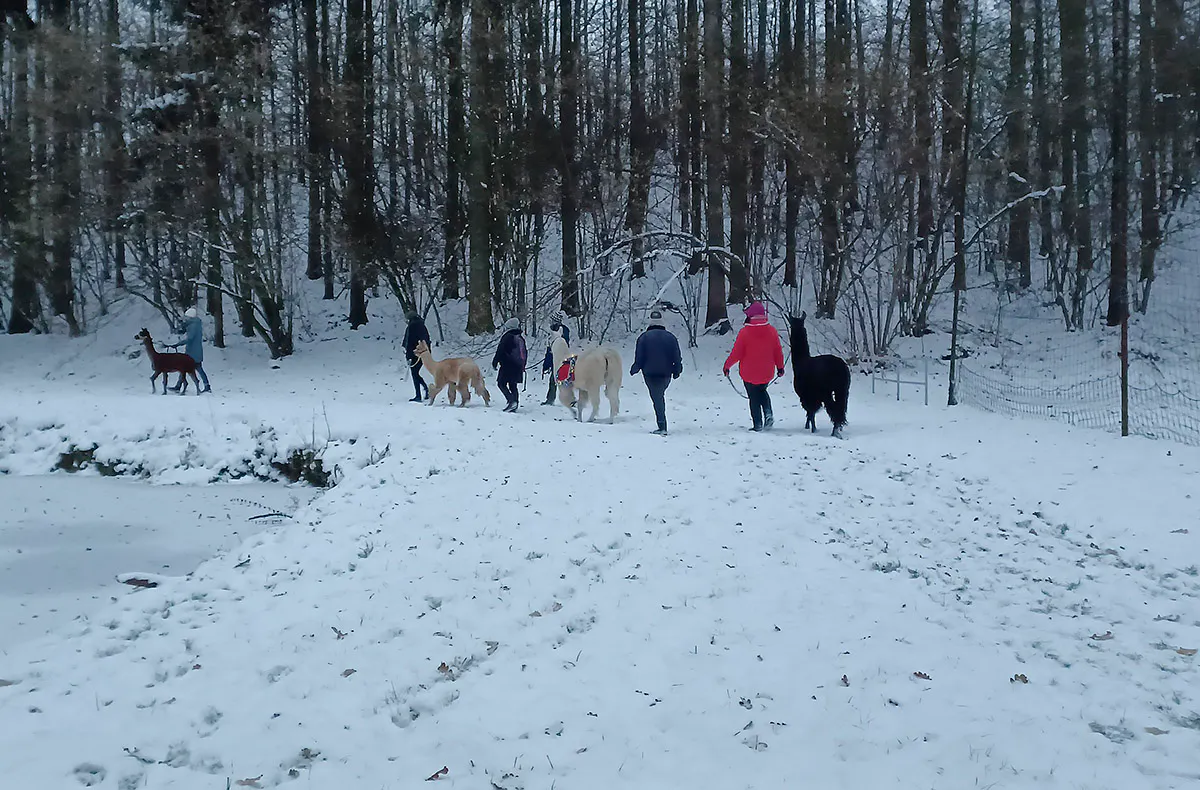Glühweinwanderung Schönau-Berzdorf - 5