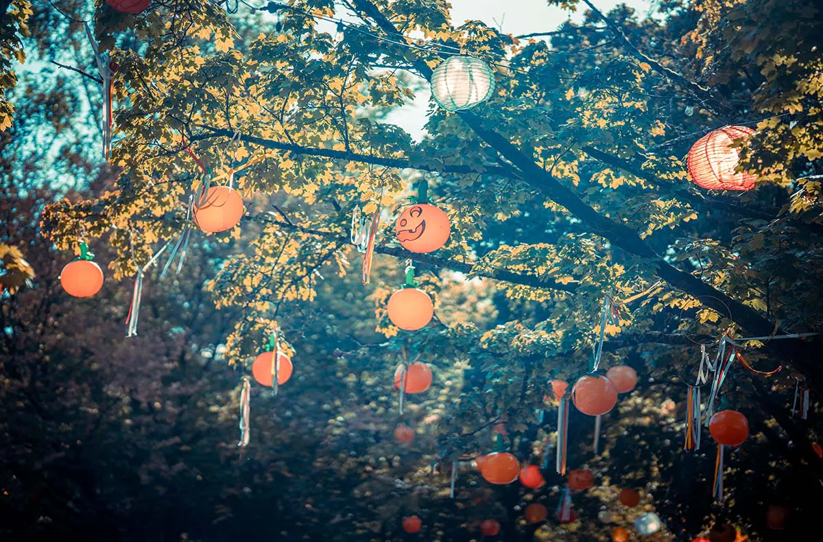 Halloween-Erlebnisreise im Serengeti Park für 2 (1 Nacht) - 12