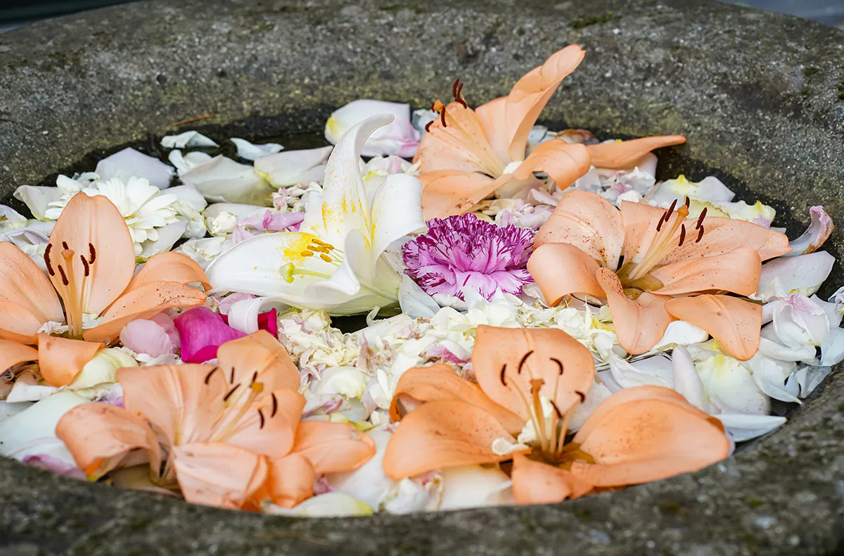 Hawaiianische Massage Bad Soden am Taunus - 6