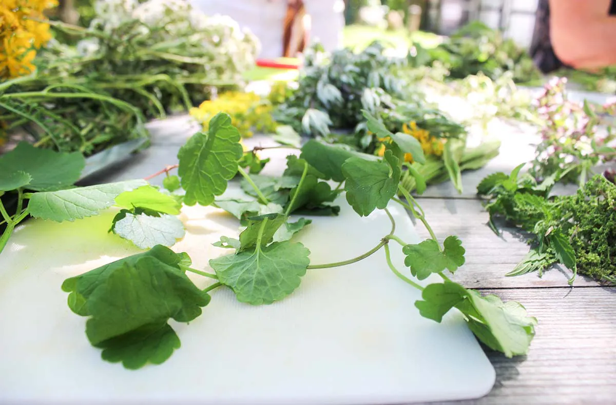 Hildegard von Bingen Medizin Wegberg - 5