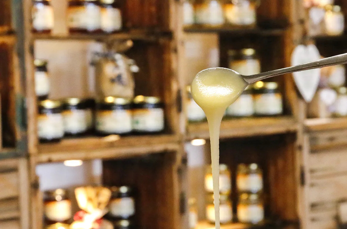 Bienenseminar mit Verkostung für 2 Bühl - 9