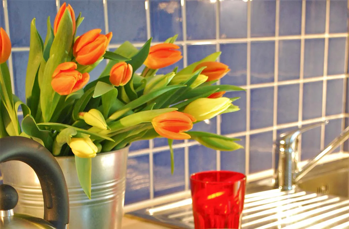 Zauberhafte Unterkünfte Lugano für 2 (1 Nacht) - 5