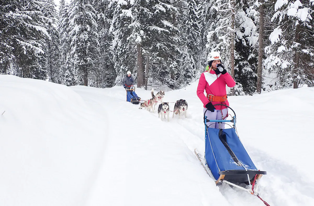 Schlittenhunde Abenteuer Ermenswil St. Gallen für 2 - 6