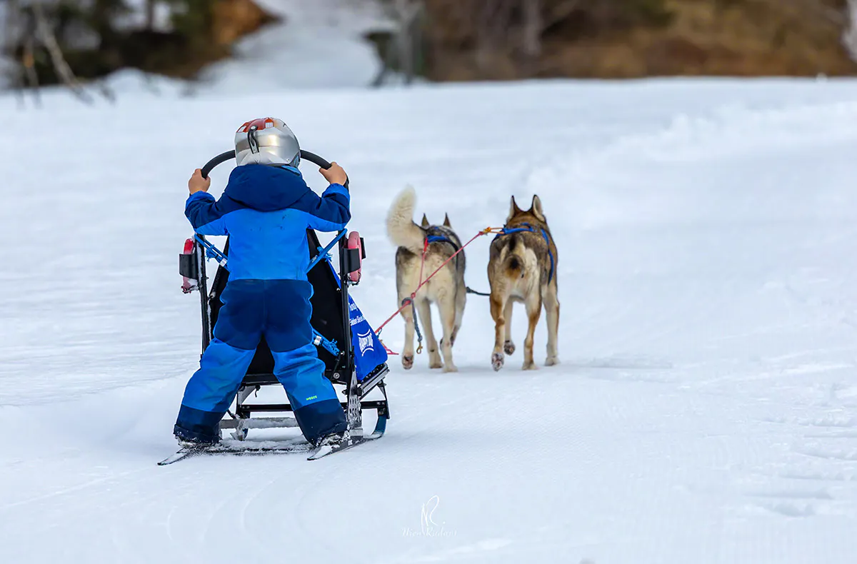 Schlittenhunde Workshop Telfs - 5