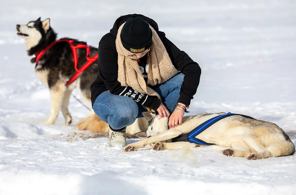 Schlittenhunde Workshop Telfs - 6