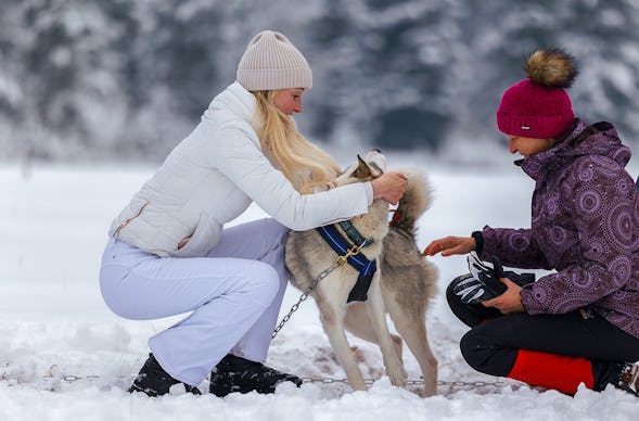 Schlittenhunde Workshop Telfs