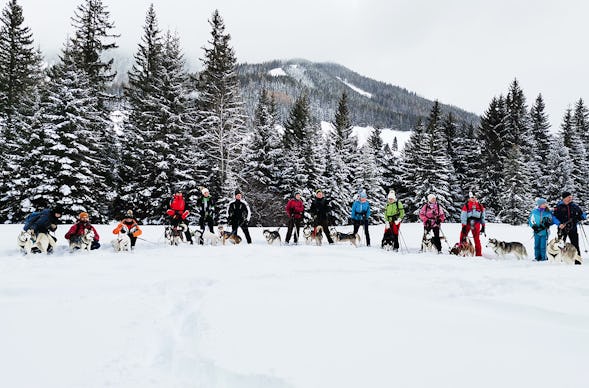 Husky Schneeschuhtrekking Hohentauern
