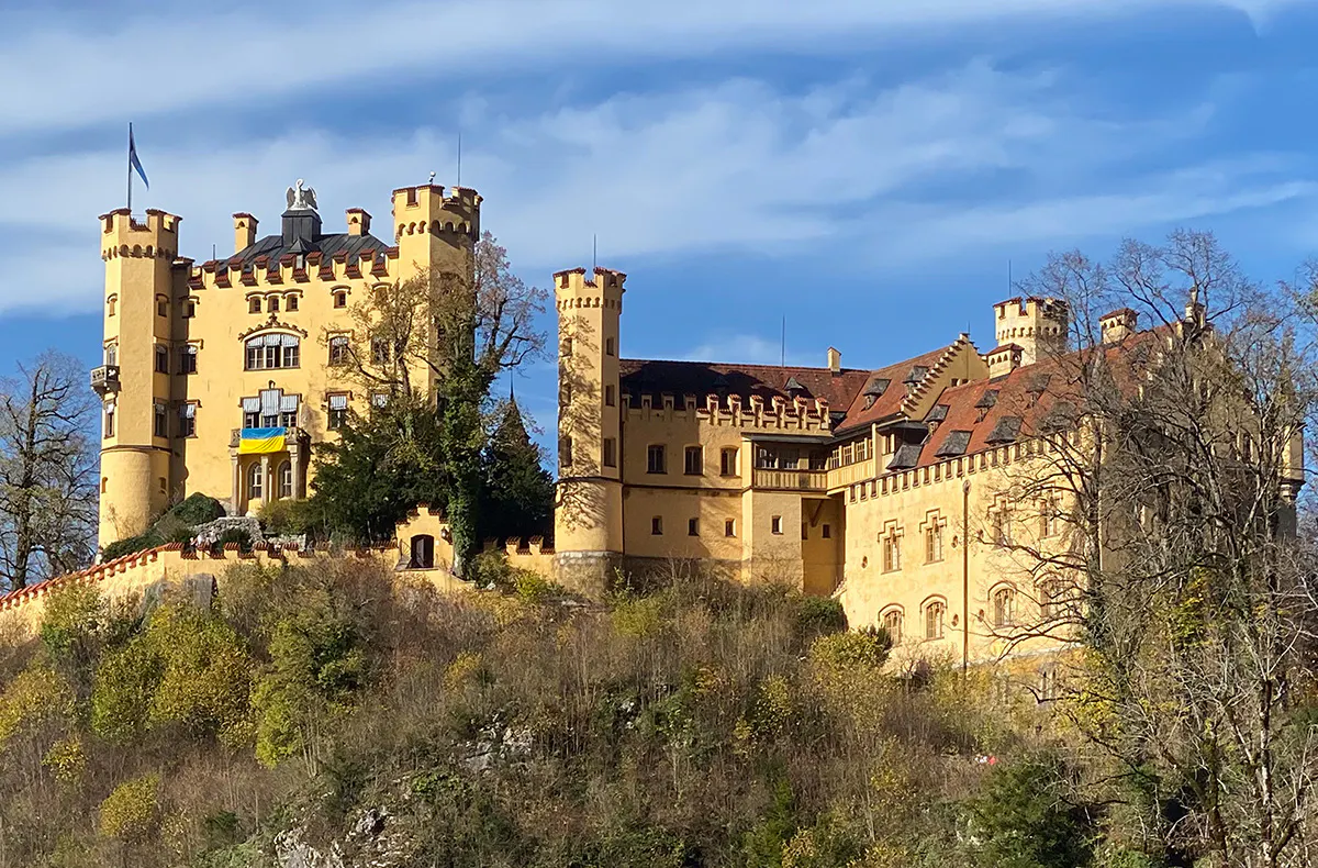 Husky Tour Neuschwanstein - 6