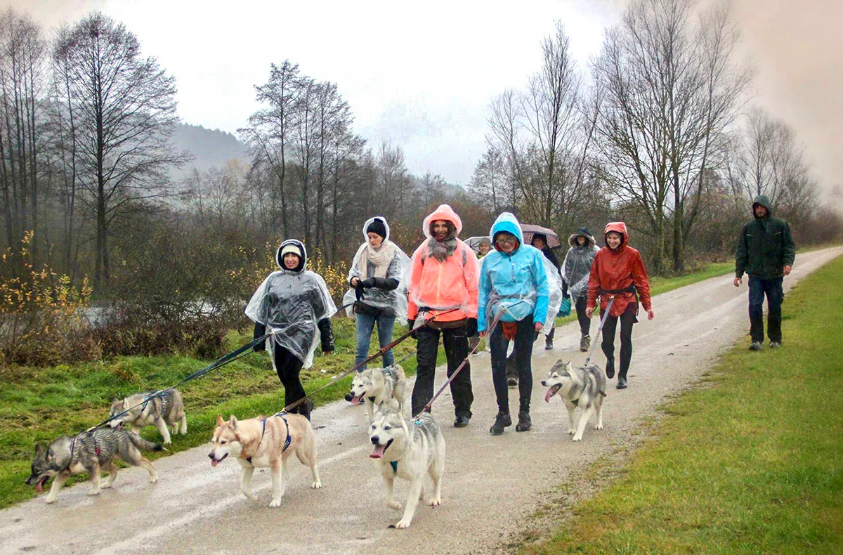 Husky Trekking Dietfurt a.d. Altmühl - 3