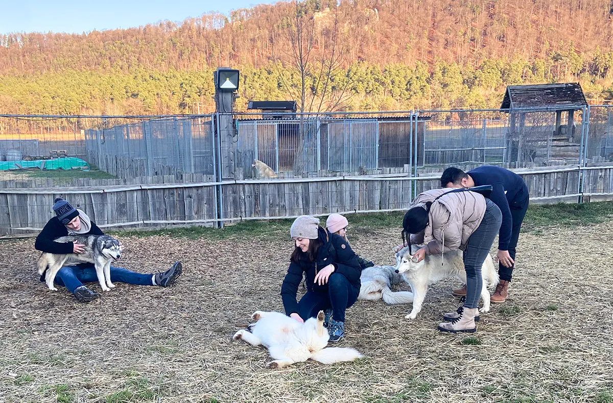 Husky Trekking Dietfurt a.d. Altmühl - 5