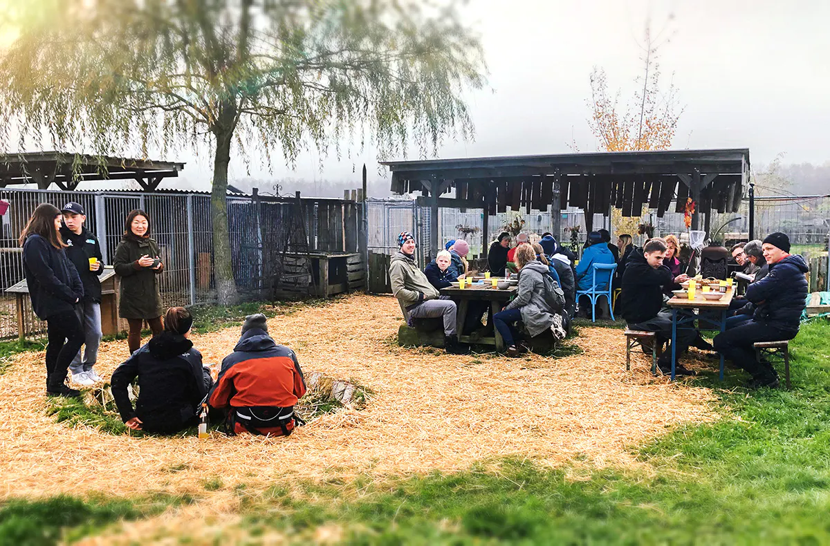 Husky Trekking Dietfurt a.d. Altmühl - 6