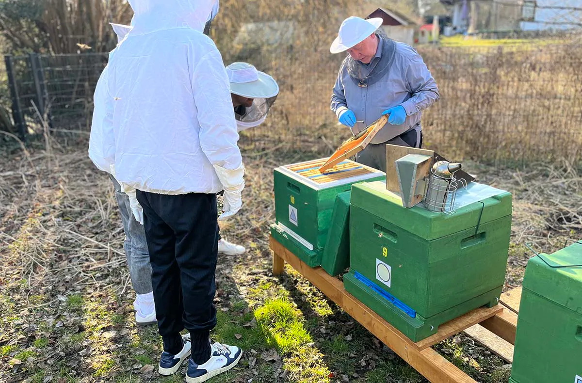 Imkerei Berlin - 7